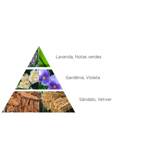 Perfume Essenciart Masculino 30ml - The Code