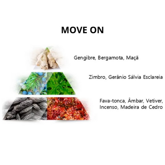 PERFUME LA RIVE MASCULINO - MOVE ON 100ml