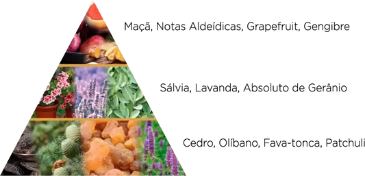 Efitnan Style & Scent EDP 100ml