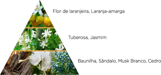 Hannah Al Nashwa Style & Scent EDP 100ml