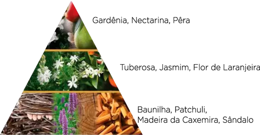 Naqsh Style & Scent EDP 100ml